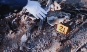Arizona bone fragment